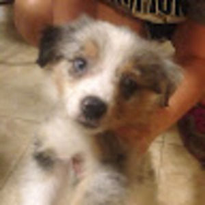 Meet your Posher, Sean